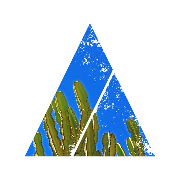 Unframed 8x10 minimalist succulent wall art - Picture 4 of 4